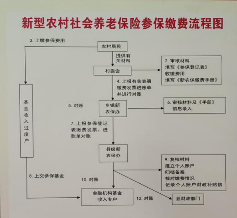 长春农村医保和社保有什么区别(农村医保跟社保的区别)
